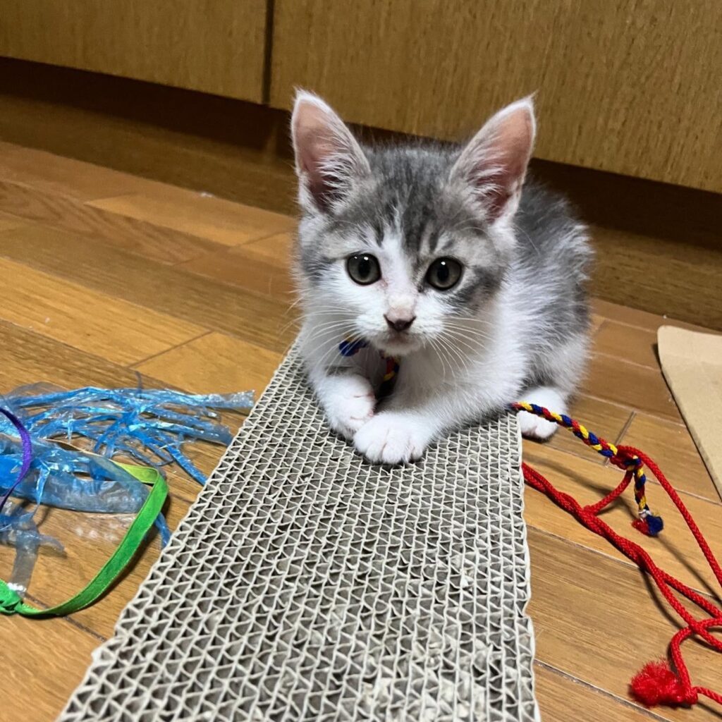 【実際の写真5枚】　現在の様子