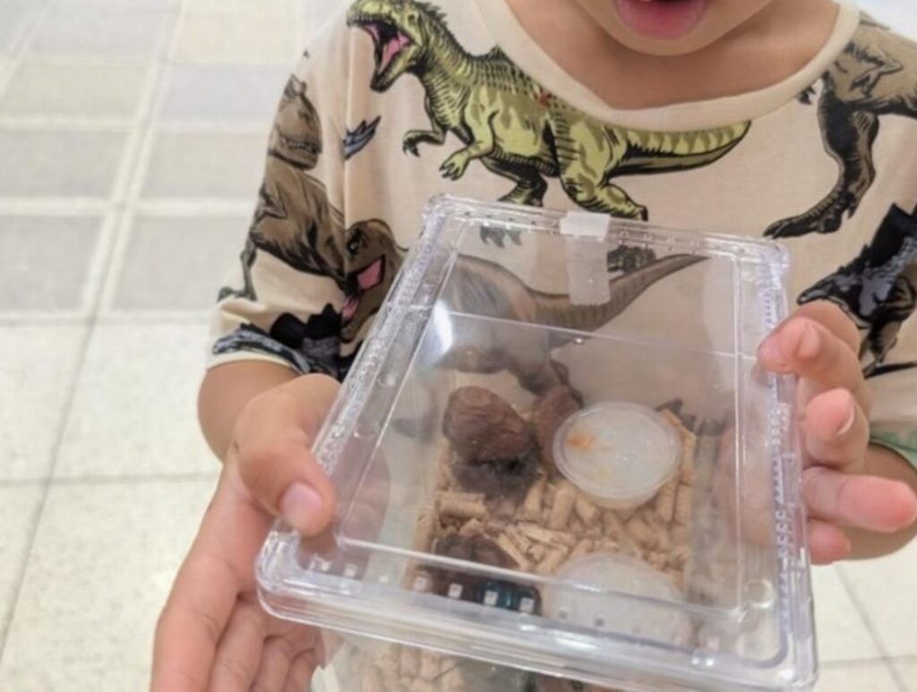 息子さんは虫が大好き（＠ako_globalmamaさんより提供）