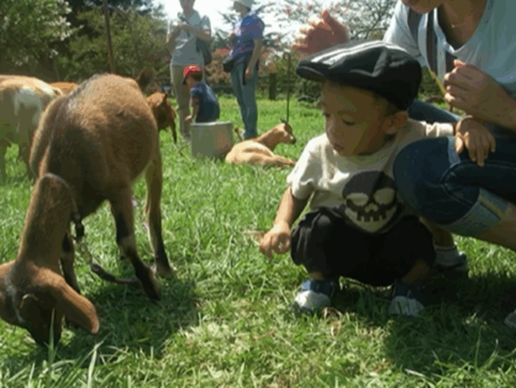 動物さんとのふれあい（＠tetu.momさんより提供）