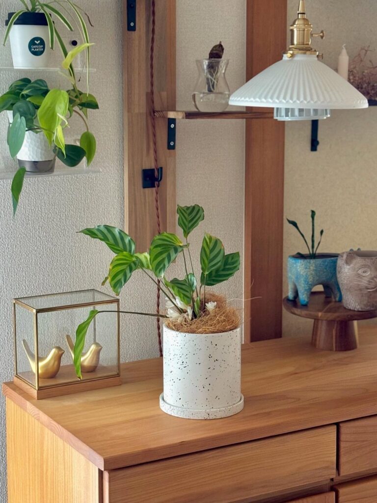 【実際の写真4枚】　投稿者さんが見た光景