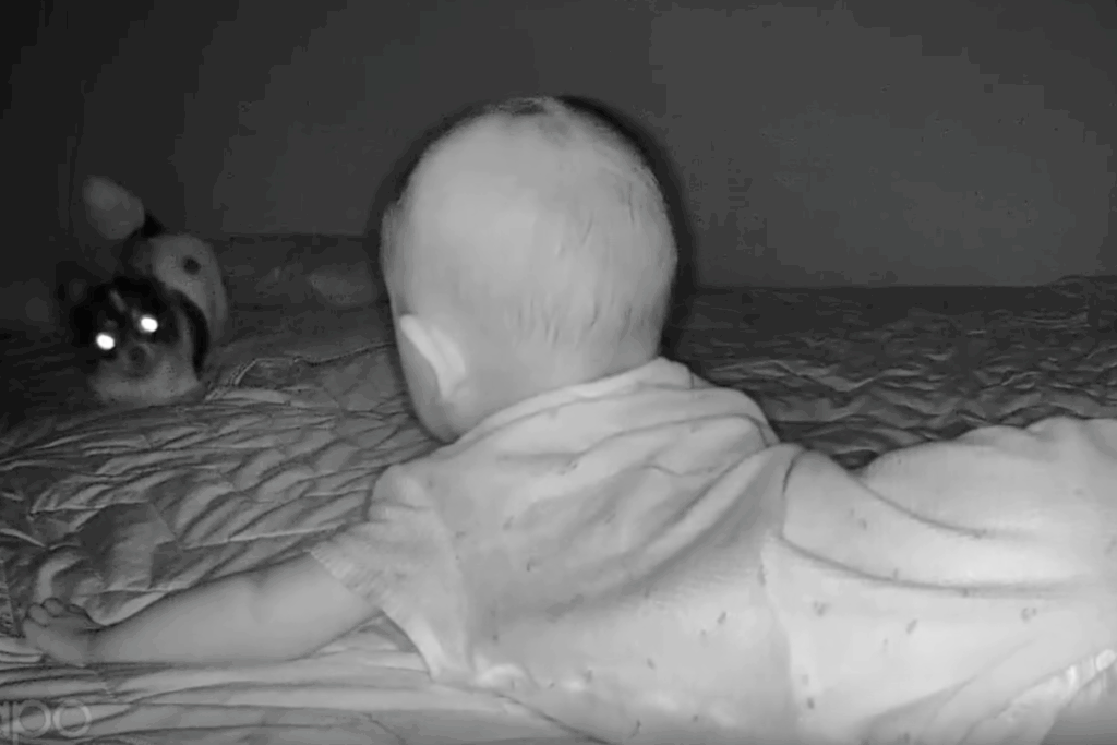 【実際の写真7枚】　ママが見た光景