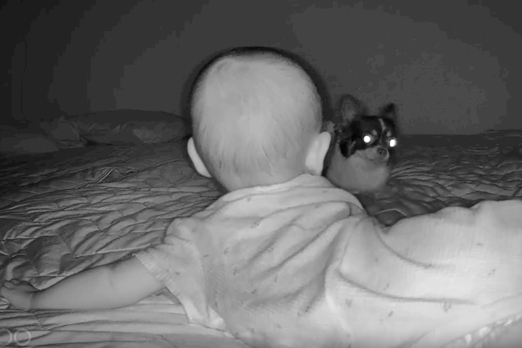 楽しいね！（＠maa._.715さんより提供）