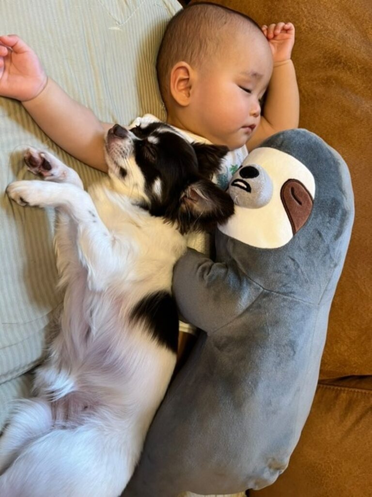 お気に入りのぬいぐるみも一緒（＠maa._.715さんより提供）