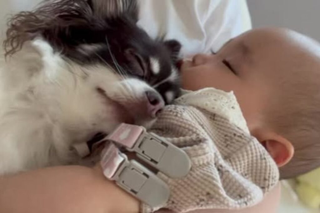 ずーっと一緒にいようね（＠maa._.715さんより提供）