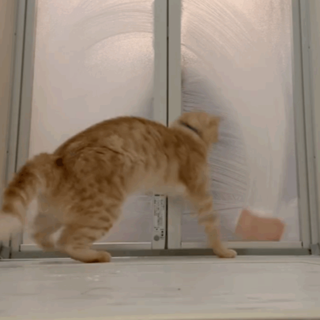 あ、動いた！（＠chaa_imochiさんより提供）