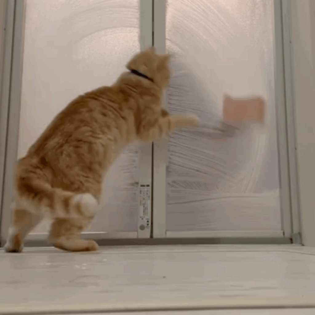 もうちょっとで届きそう（＠chaa_imochiさんより提供）