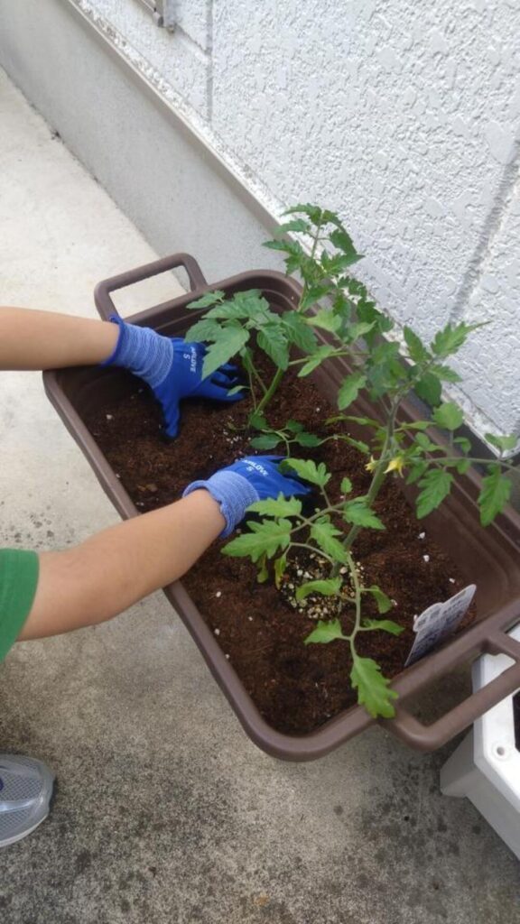 【実際の写真5枚】　玄関の様子