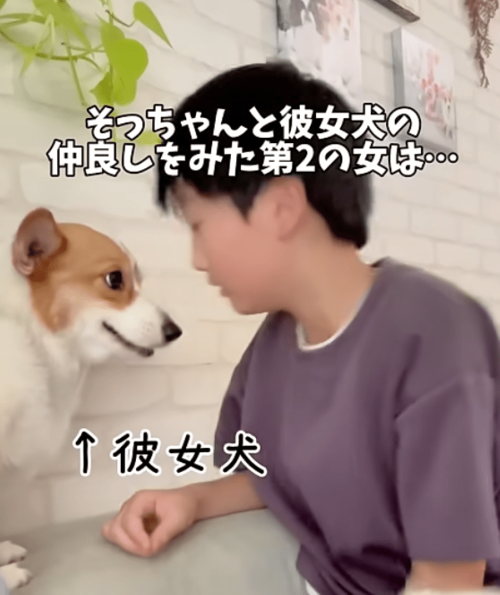 コーギーのLULU\u0026KIKI (@LULU_KIKI_CORGI) / Posts / X, image size:1000x1190