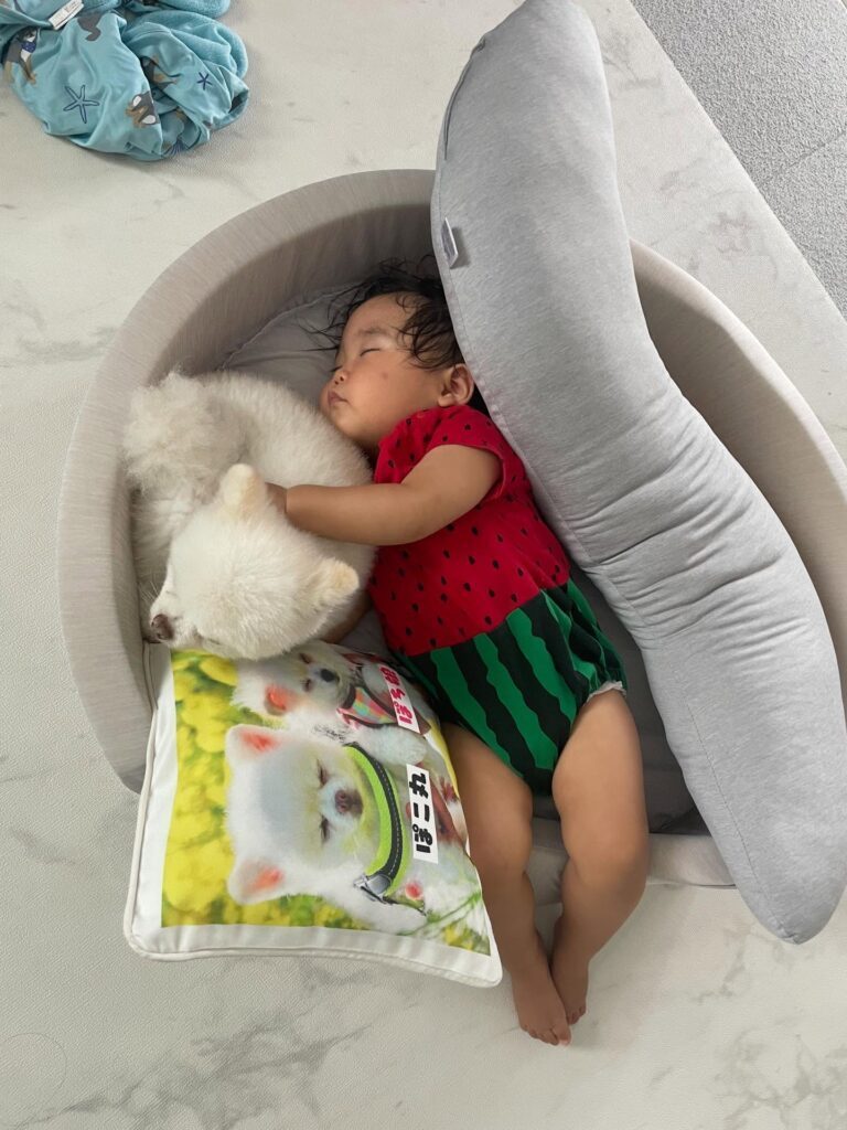 ベッドで寝る娘さんとぽこ丸くん①（＠partydress5715さんより提供）