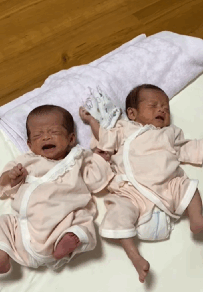 【実際の写真８枚】　３年後の様子