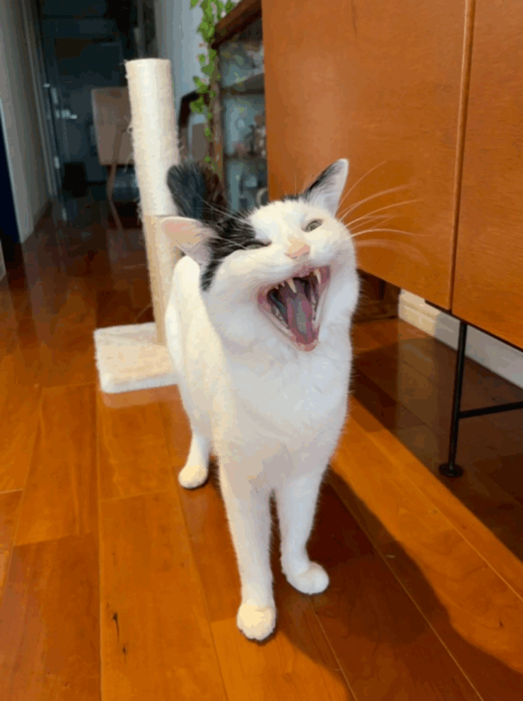 【実際の写真】届いた写真