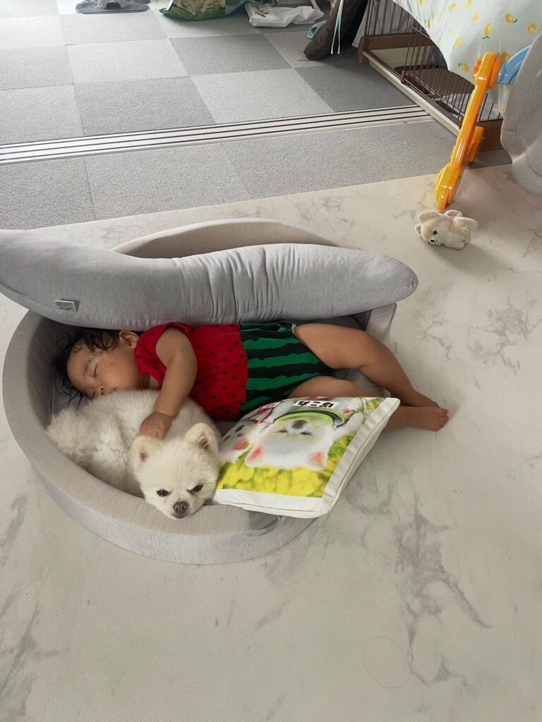 ベッドで寝る娘さんとぽこ丸くん②（＠partydress5715さんより提供）