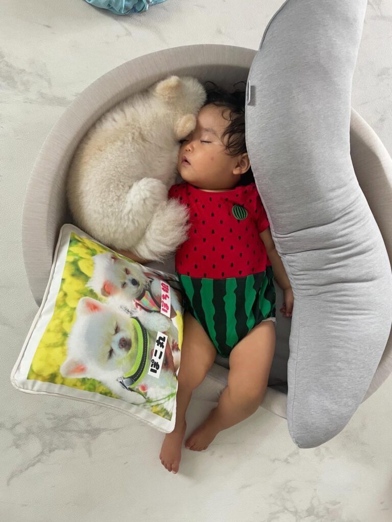 ベッドで寝る娘さんとぽこ丸くん③（＠partydress5715さんより提供）