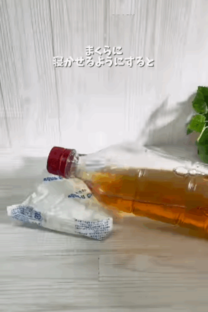 凍らせる際は、枕になるような物を敷いてその上に横に置く（＠nyanmama_kurashiさんより提供）