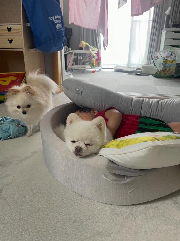 【実際の写真4枚】　　母が見た光景