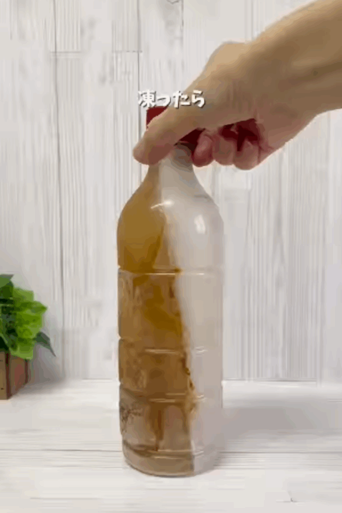 凍らせた状態（＠nyanmama_kurashiさんより提供）