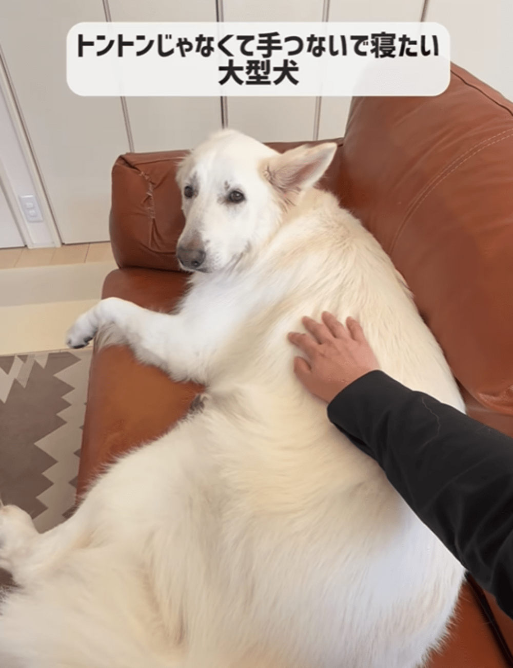 砂浜で作業する男性。6時間後、作り上げた”モノ”に「すごいリアル感」「凄すぎる…」「生で見たい」