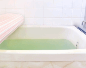 パパとのお風呂を拒否する4歳妹　すると、8歳姉の驚きの行動に「女神様なの？」「絶大な存在」「勉強になります！」