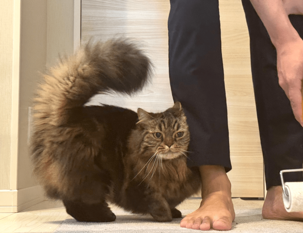 「こっちをやってくれ」とアーサーくん（@MunchKINGArthurさん提供）