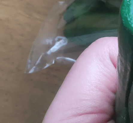 買い物後、冷蔵庫を開けた母　→中学生の息子が入れていた”予想外のモノ”に「仕込むとは…なかなかやるなぁ」「手の込んだイタズラですね笑」