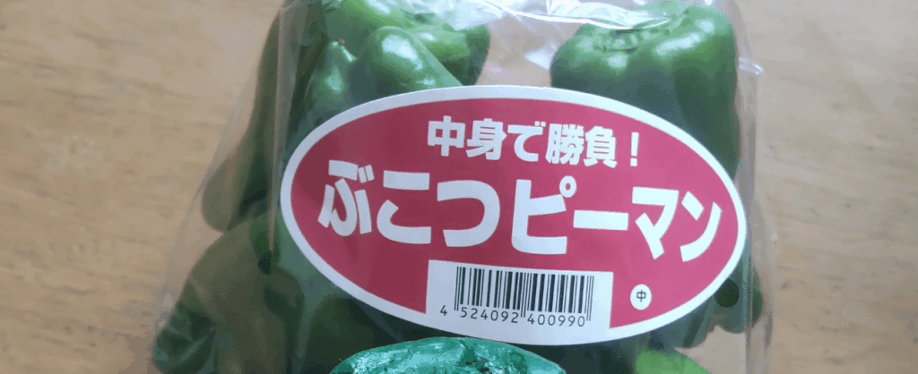 【実際の写真】　母が見た光景