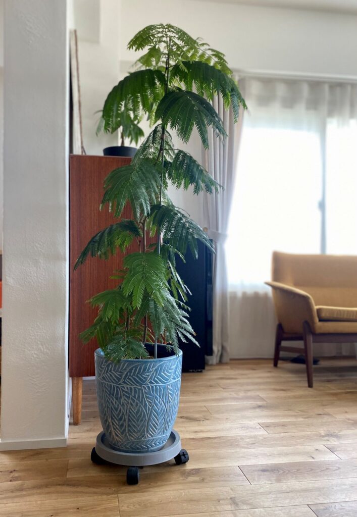 9ヶ月後のエバーフレッシュ（＠mybrandnewlife888さんより提供）