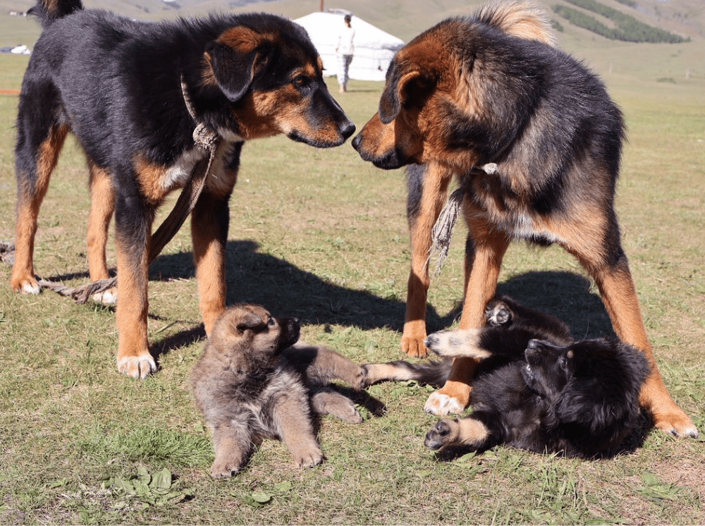 【実際の写真7枚】　投稿者さんが見た光景