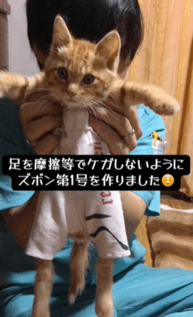 ズボン第1号（@oomori_nyansさんより提供）