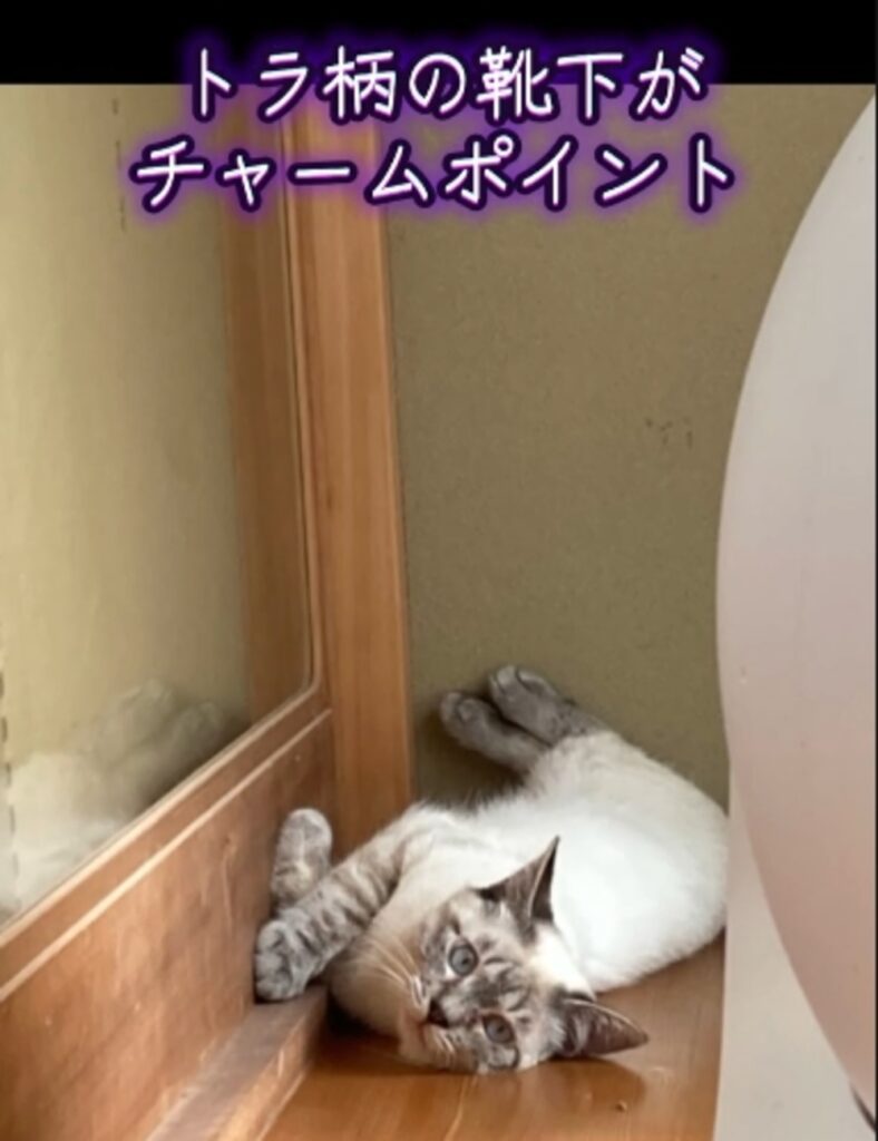 【実際の写真6枚】　１年後の様子