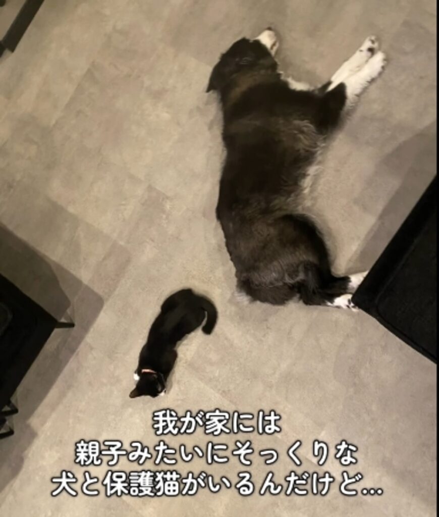 【実際の写真5枚】　２ヶ月後の様子