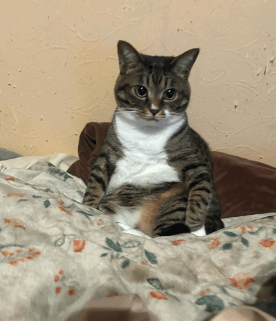 遠くを見つめています…（＠ohkuma.iyashiさんより提供）