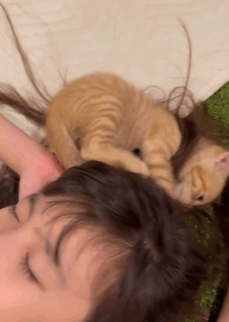 髪の毛で遊ぶちゃいくん（＠hungry.zさんより提供）