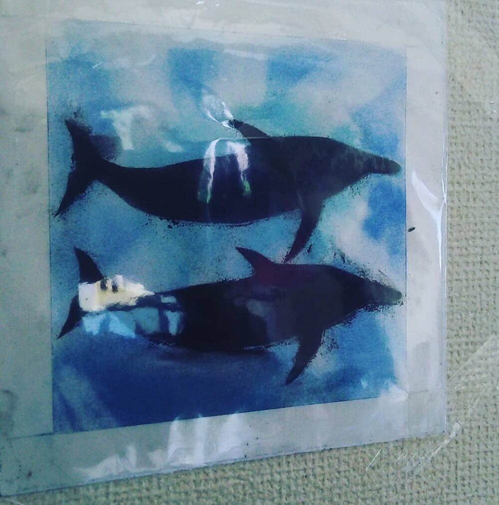 娘さんが小学1年生の頃描いたイルカ（@ikefujinouen_c.loverさんより提供）