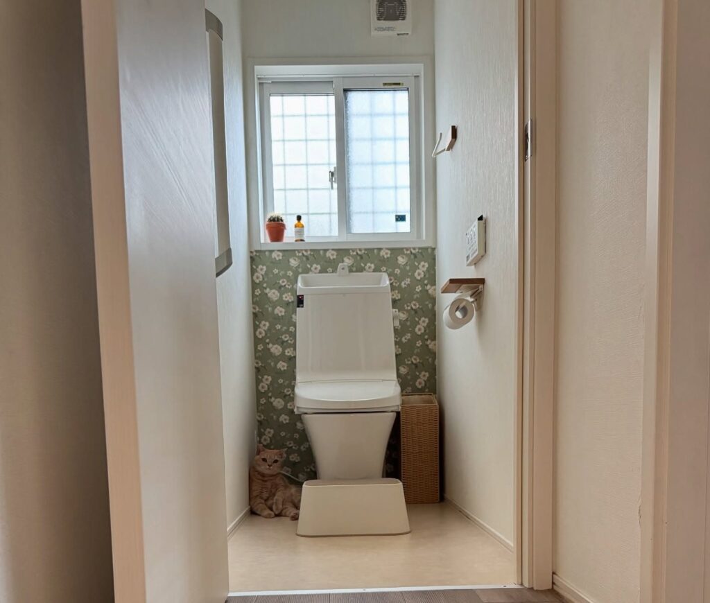 【実際の写真6枚】　　投稿者さんが見た光景