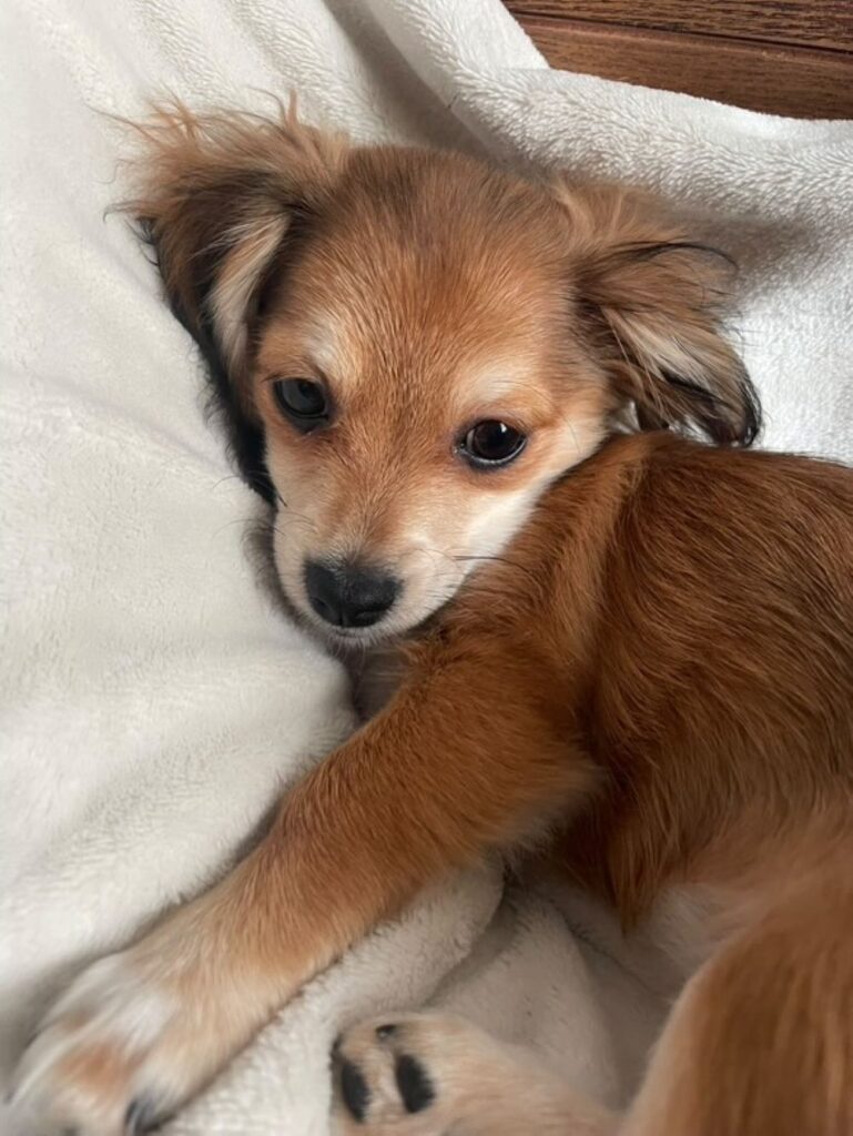 【実際の写真5枚】　ママが見た光景