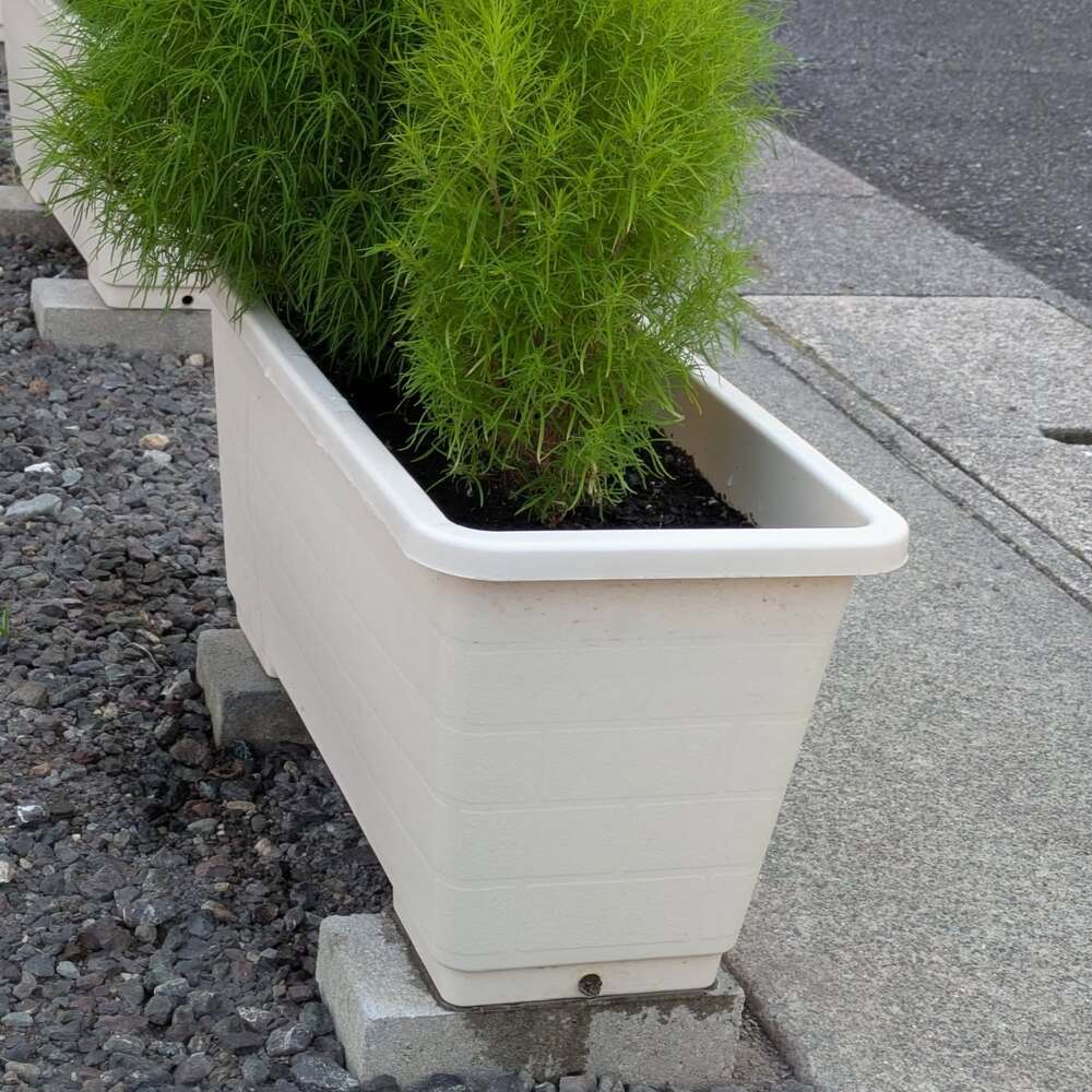 植物に水やりをしていた男性「なんか違和感」→よく見てみると…気づいた“違和感の原因”に「えっー！？」「暑いんだろうなぁ」