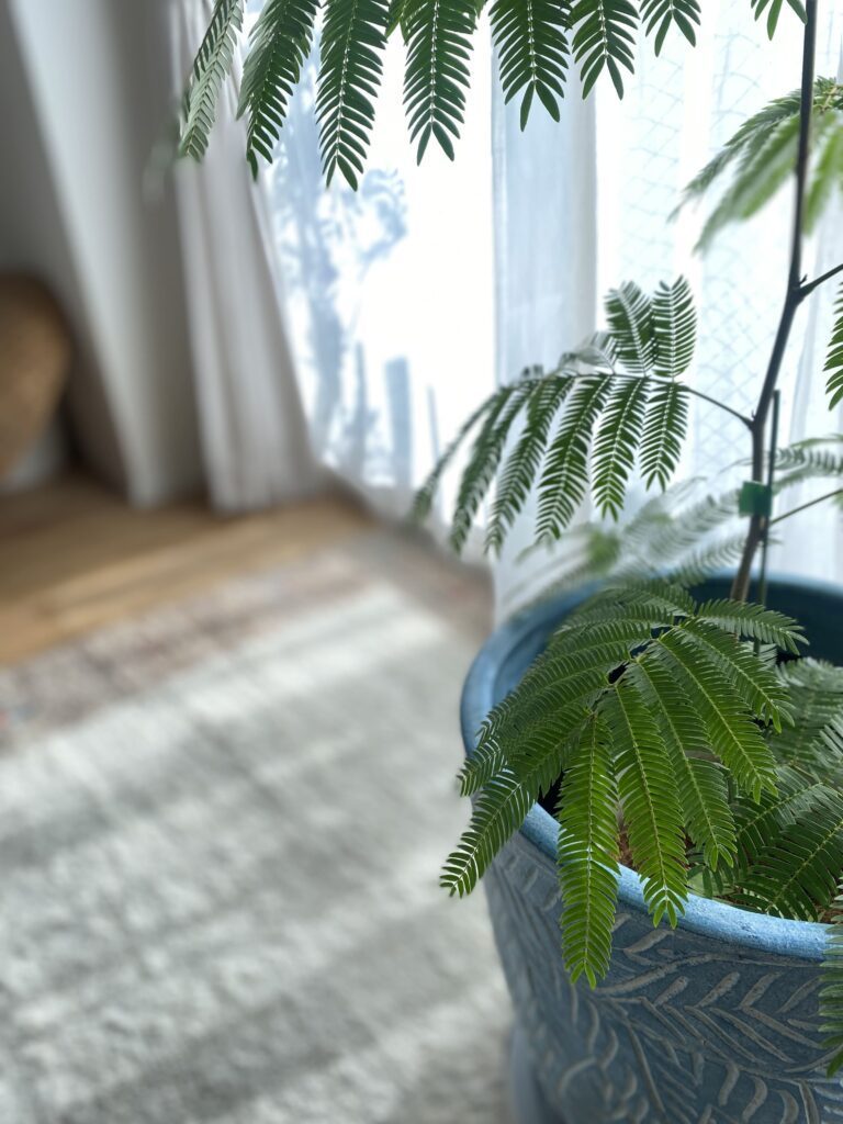 エバーフレッシュ②（＠mybrandnewlife888さんより提供）