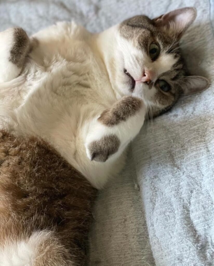 【実際の写真5枚】　犯行現場の様子