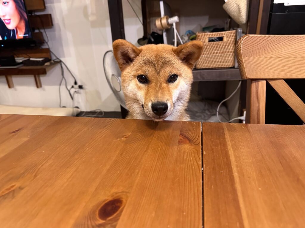 眉毛のよう…（＠taoyame36さんより提供）