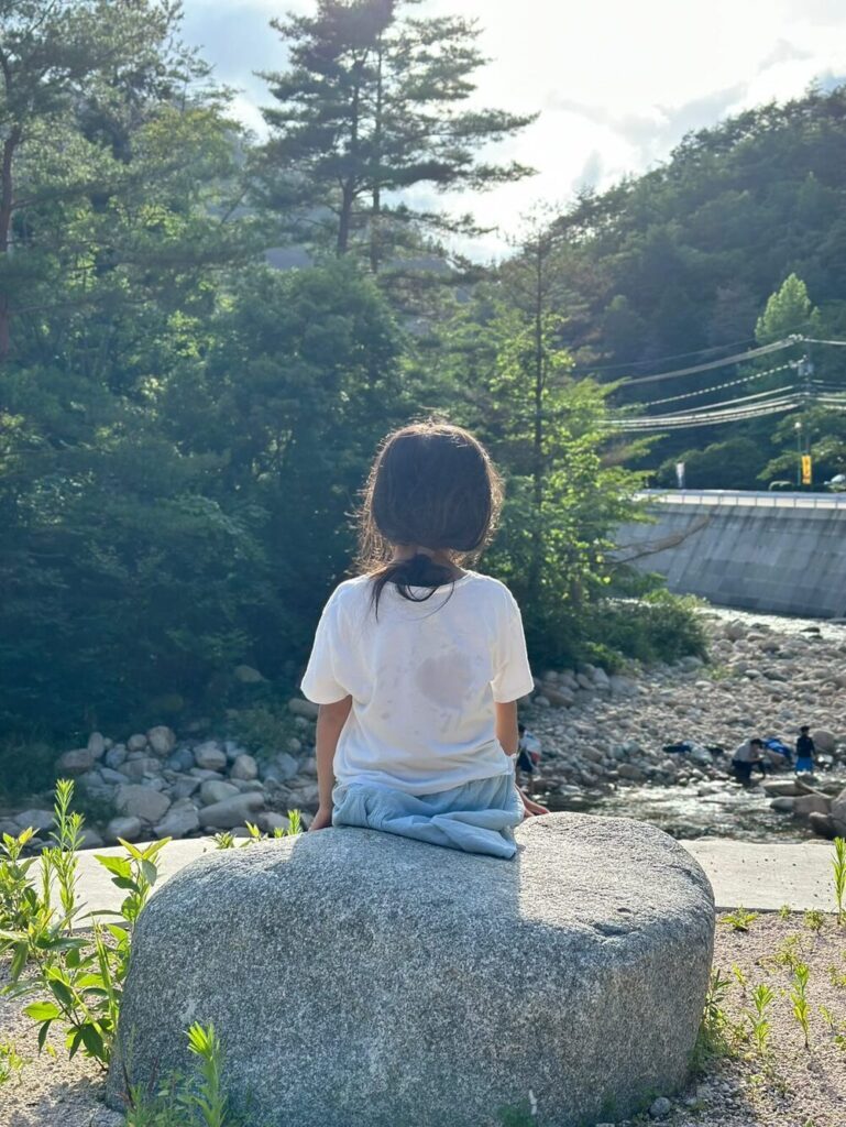 【実際の写真3枚】　母が見た光景