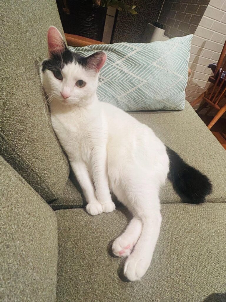 普段の様子①（＠misaringo555さんより提供）