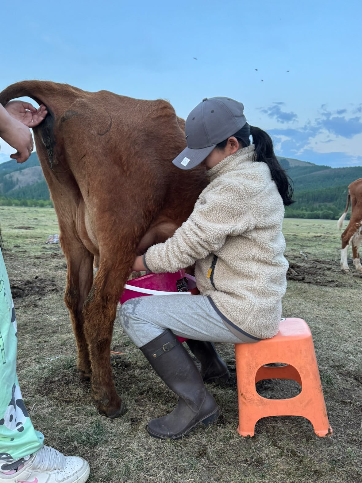 モンゴルの遊牧民と結婚した女性　朝起きたら…目の前にいた“もの”に「カッコイイ」「モンゴル行きたい」