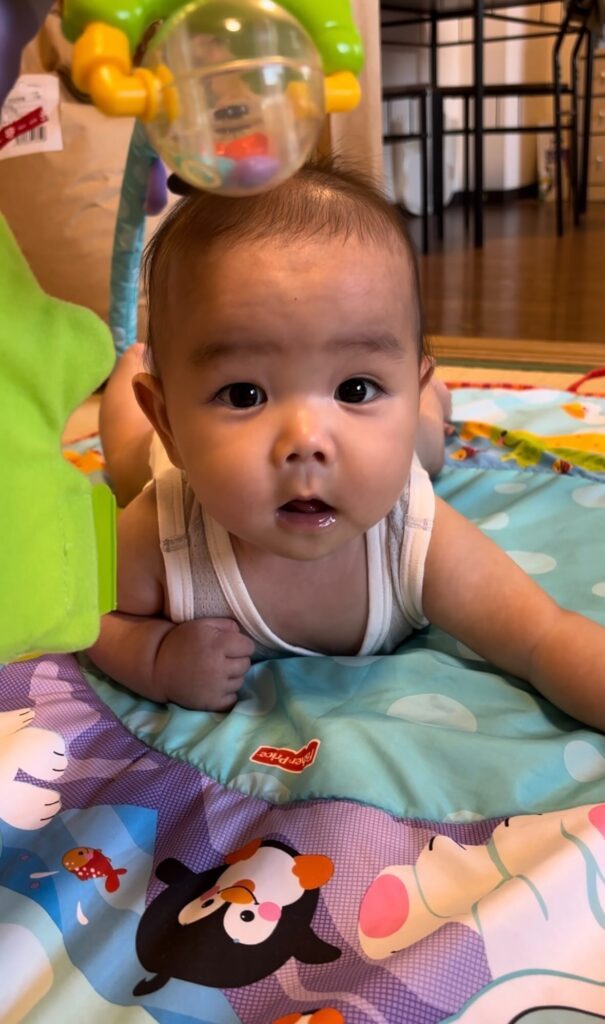 【実際の写真】まさかの事実