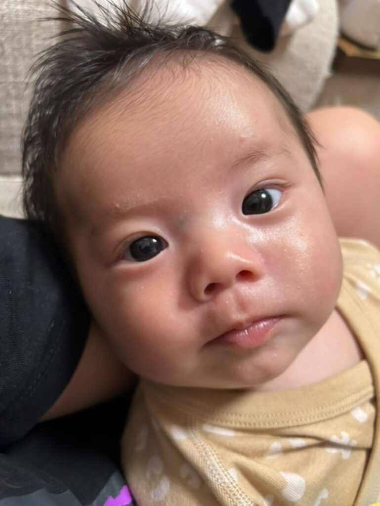 【実際の写真5枚】　母が見た光景