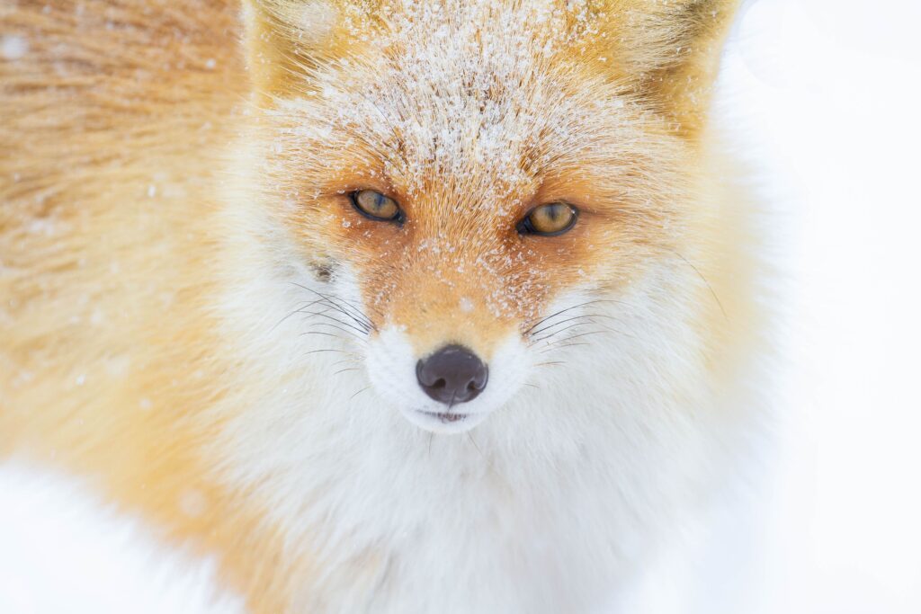 アラタくんの作品①（＠arata_photo1121さんより提供）