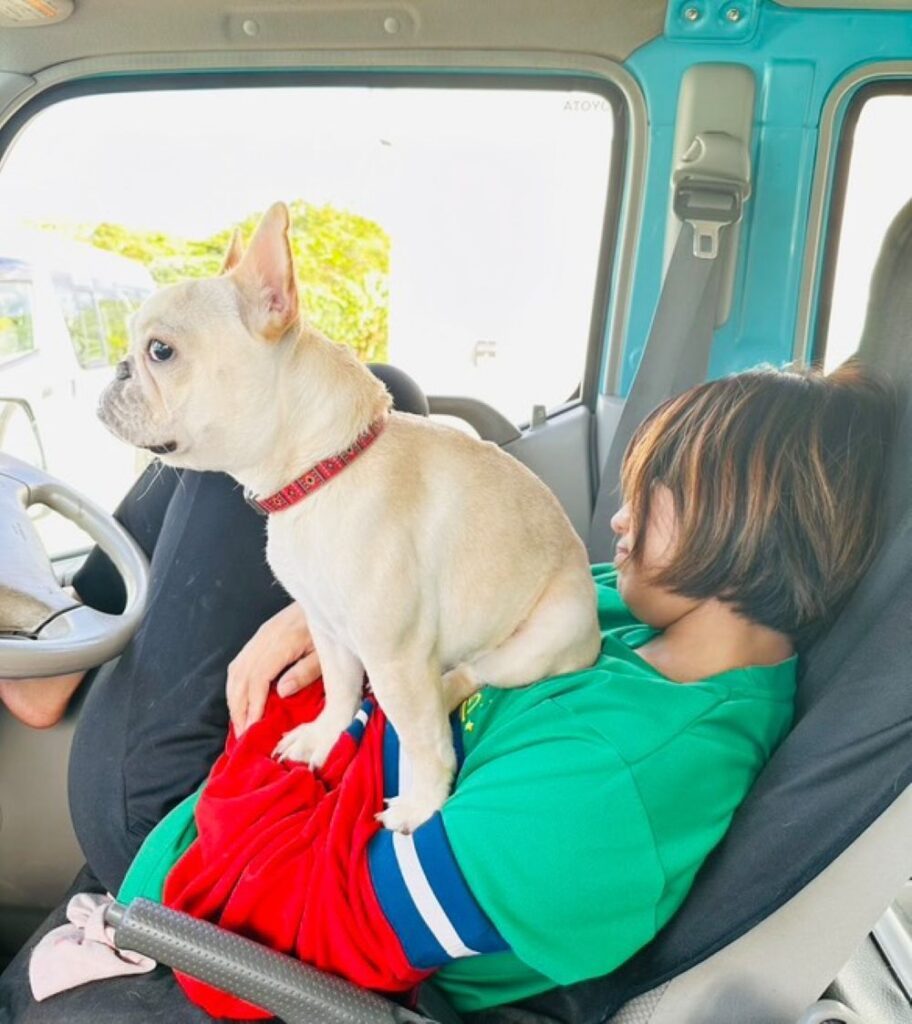 【実際の写真】　飼い主さんが見た光景