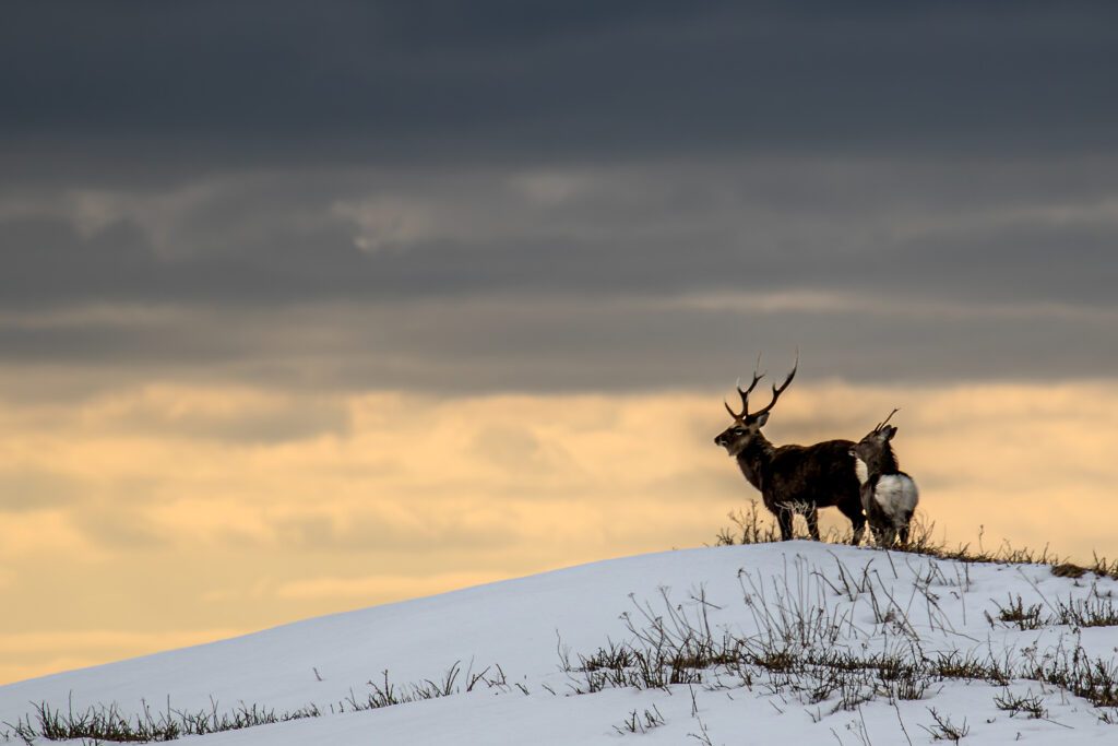 アラタくんの作品②（＠arata_photo1121さんより提供）