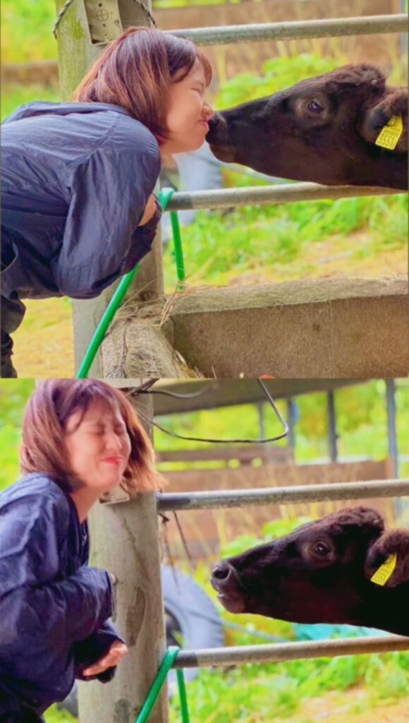 現在の様子（＠ishigaki_ushikaiさんより提供）