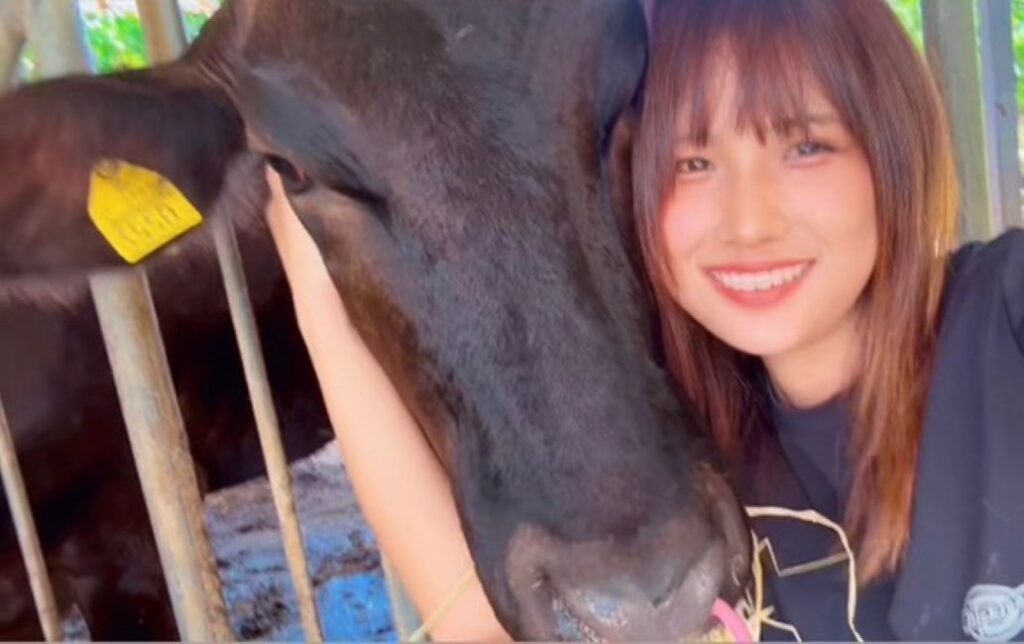 牛飼いを始めた当初（＠ishigaki_ushikaiさんより提供）