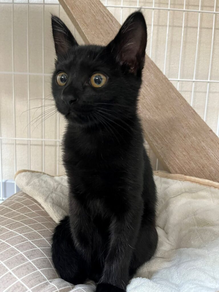 【実際の写真5枚】　３年後の様子